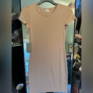 NWT Aritzia Wilfred Free Tiny T Shirt Dusty Pink Mini Dress